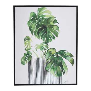Tag Summer Thornton Swiss Plant Framed Canvas Green & Black 40 x 50 cm
