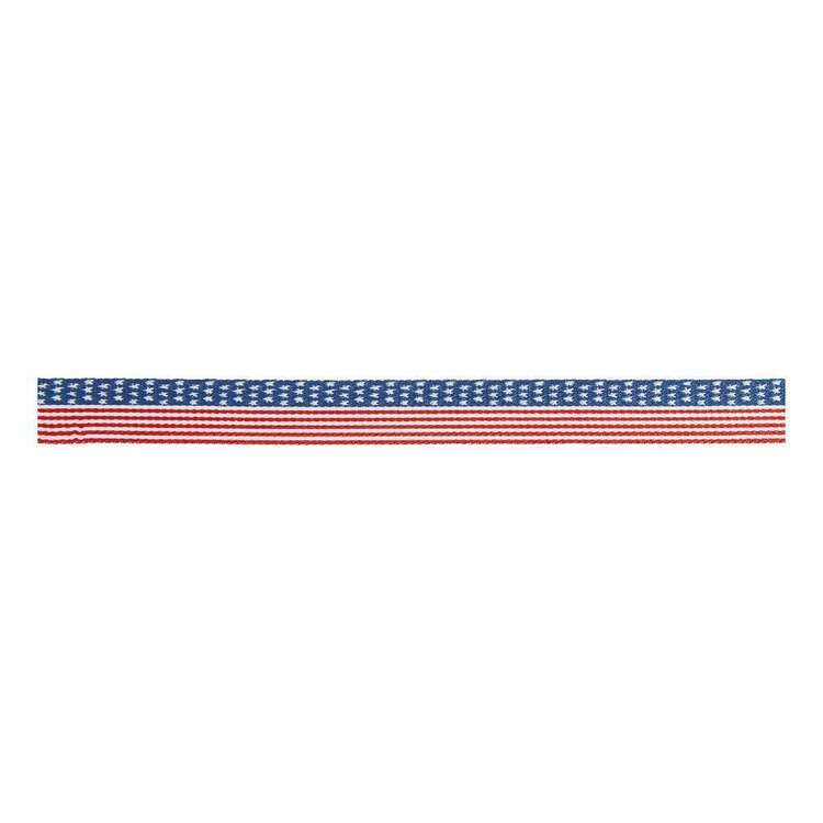 Simplicity Flag Belting Red, White & Blue 31.7 mm