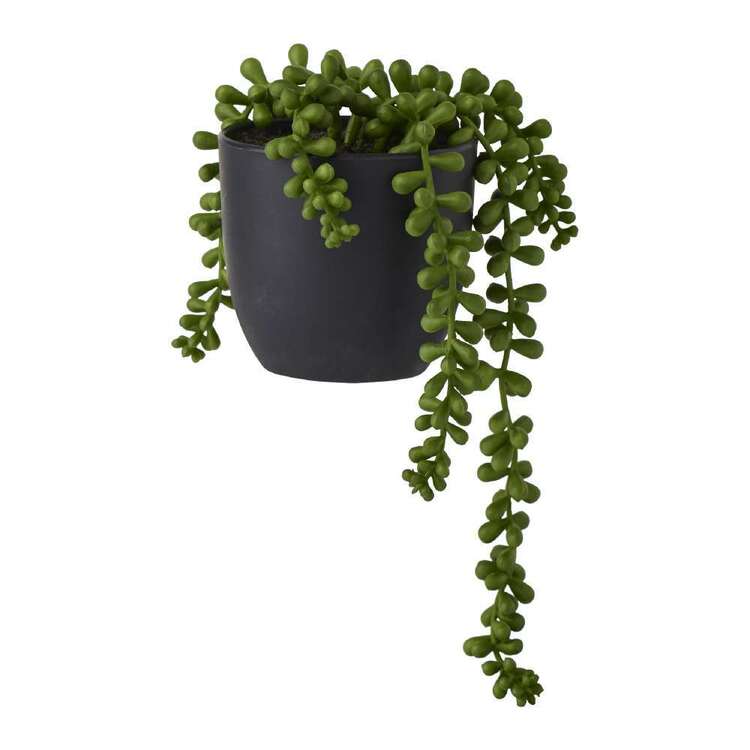 Living Space Succulent Beans Potted Plant Green 10 x 11 cm