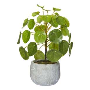 Home Decor Get Decorating With Spotlight Your One Stop Decoration