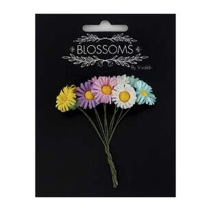 Vivaldi Blossoms 10 Pack Daisy Flower Pastel 15 mm