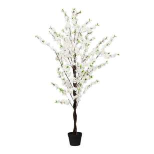 Artifical Potted Cherry Blossom White 160 cm
