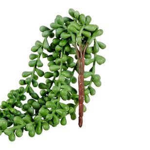 Beans 71 cm Hanging Bush Green 7.6 x 71 cm