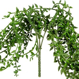 Succulent Beans 75 cm Hanging Bush Green 11 x 75 cm