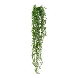 Succulent Beans 75 cm Hanging Bush Green 11 x 75 cm