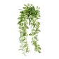 Living Space 79 cm Reticulate Leaf Hanging Bush Green 26 x 79 cm