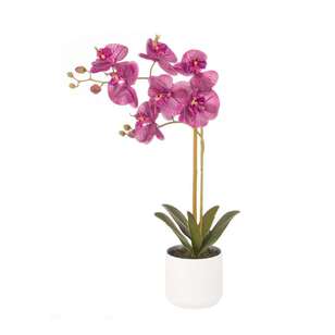 53 cm Double Stem Orchid Magenta 53 cm