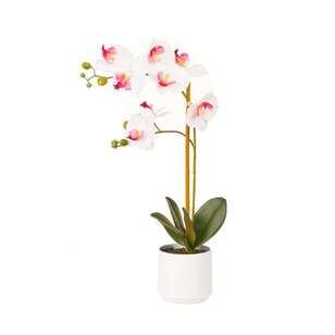 54 cm Double Stem Orchid White / Pink 53 cm