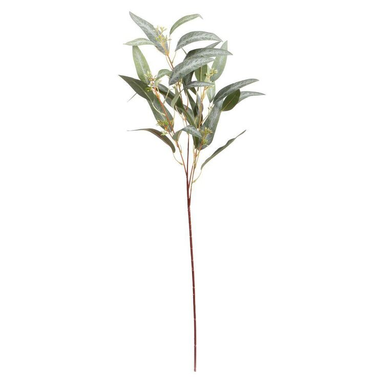 80 cm Eucalyptus Branch #2
