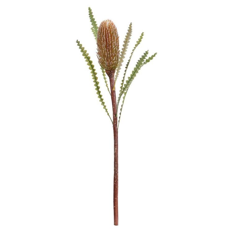 66 cm Banksia Stem