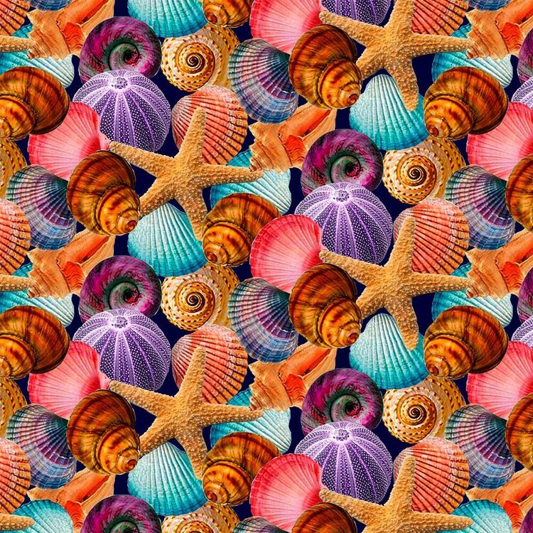 Studio E Reef Life Seashells Printed 112 cm Cotton Fabric
