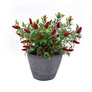 Peppers In Cement Pot Red & Green 21.5 x 25.5 cm