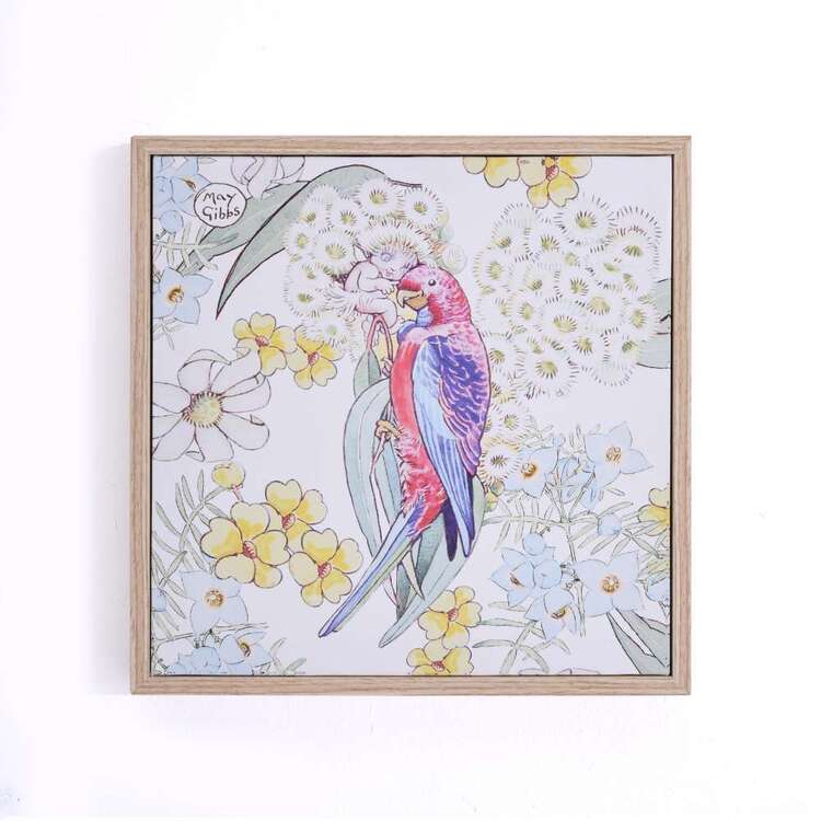 May Gibbs Gum Blossom & Parrot Framed Print