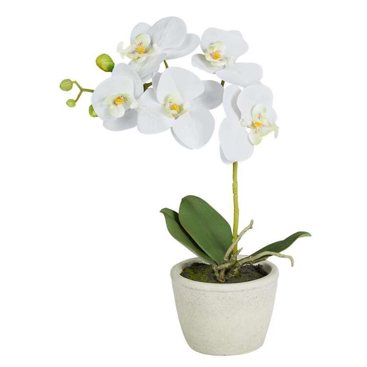 Botanica 30 cm Artificial Orchid