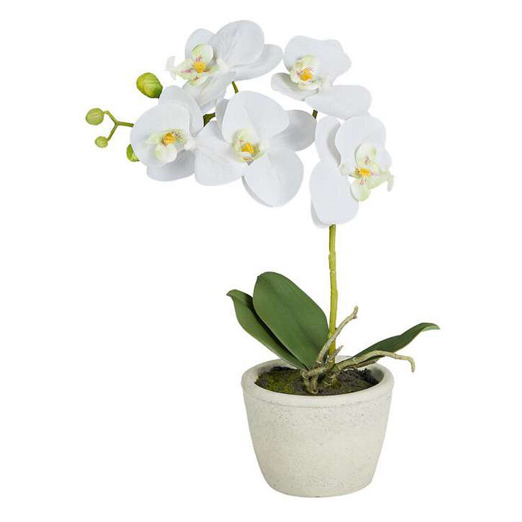 Botanica 30 cm Pink & White Artificial Orchid