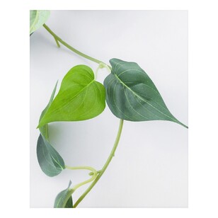183 cm Pothos Leaves Garland Green 183 cm
