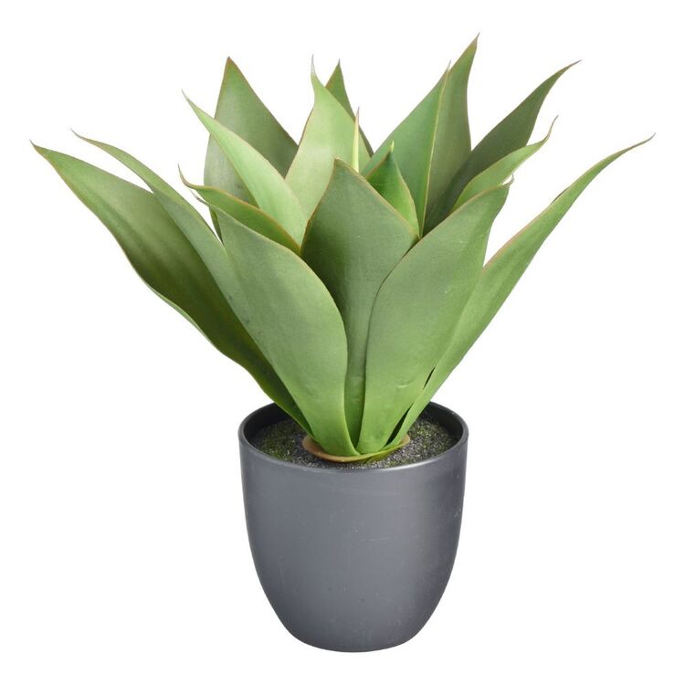 Living Space 34 cm Agave In Plastic Pot Green 40 x 34 cm