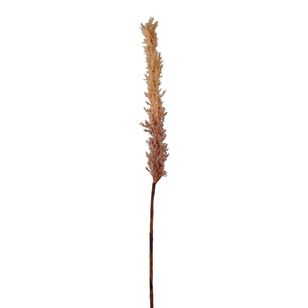 Long Reed Grass Spray Coffee 97.5 cm