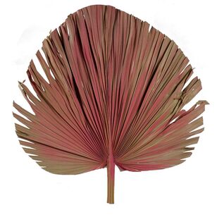 80 cm Natural Fan Palm Leaf Pink 80 cm