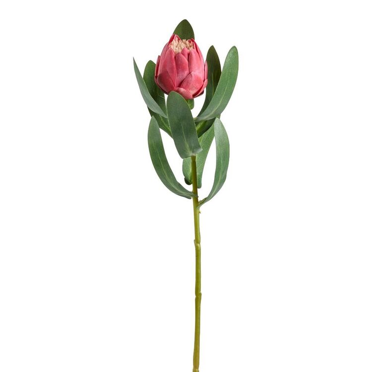 86 cm Baby Protea Stem Red