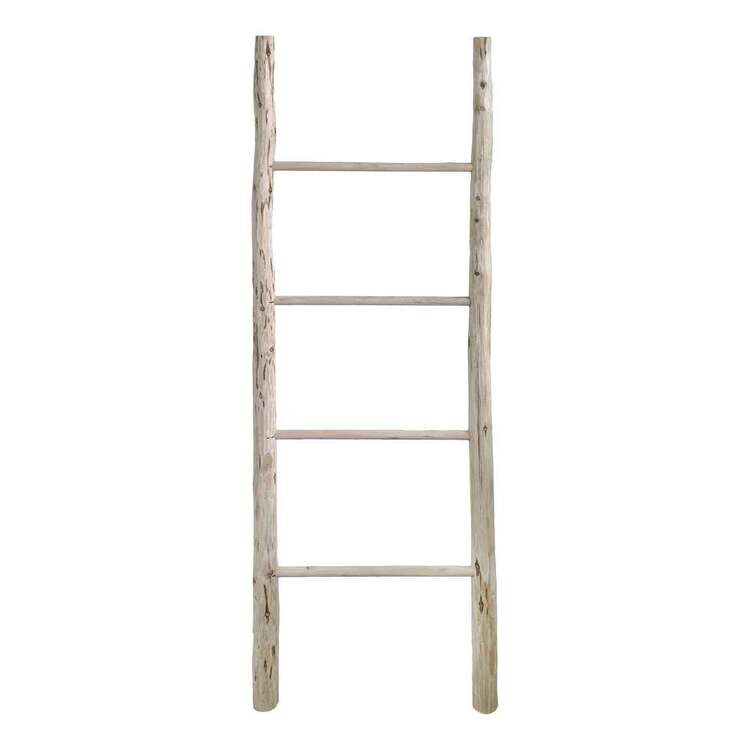 Ombre Home Lost In Paradise Decorative Ladder