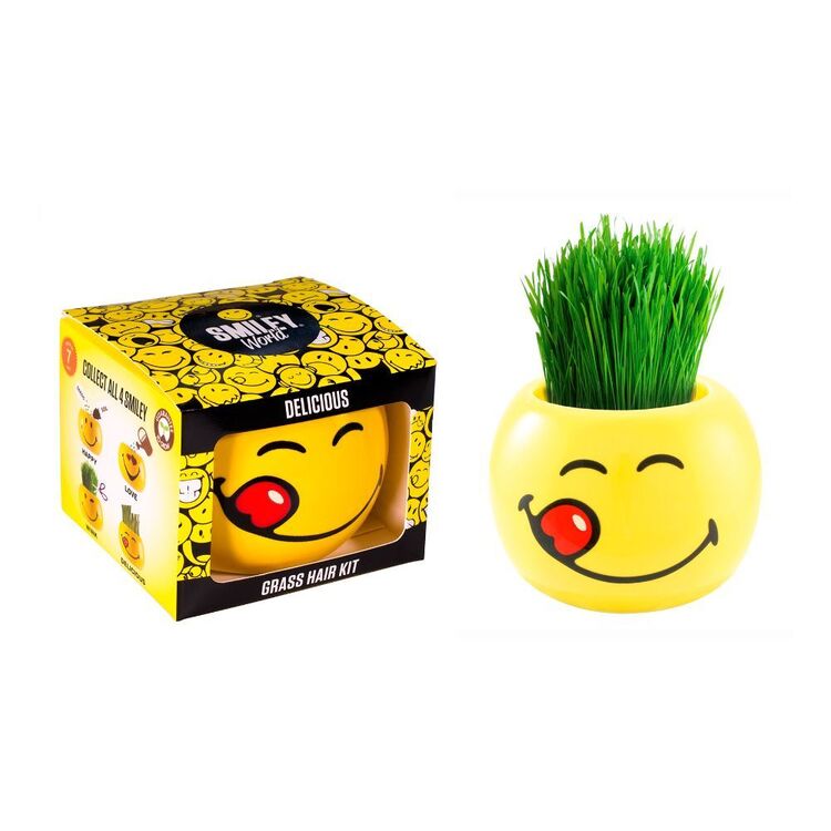 Grass Hair Kit Smiley Faces Delicious