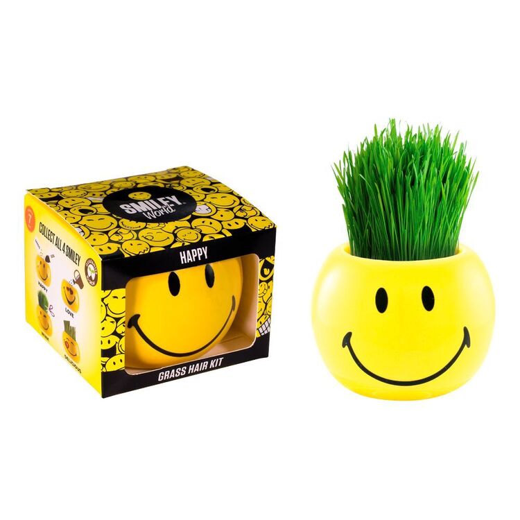 Grass Hair Kit Smiley Faces Happy