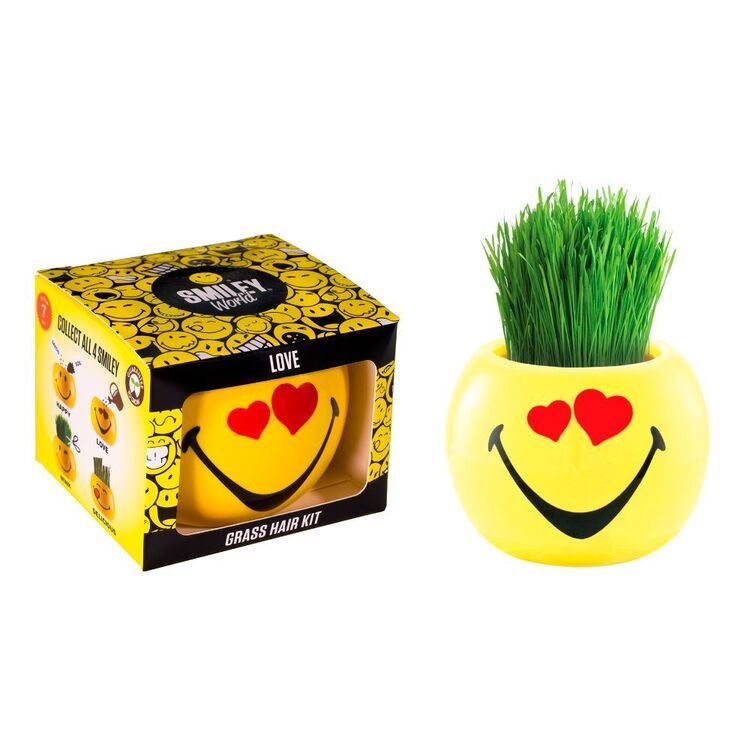 Grass Hair Kit Smiley Faces Love