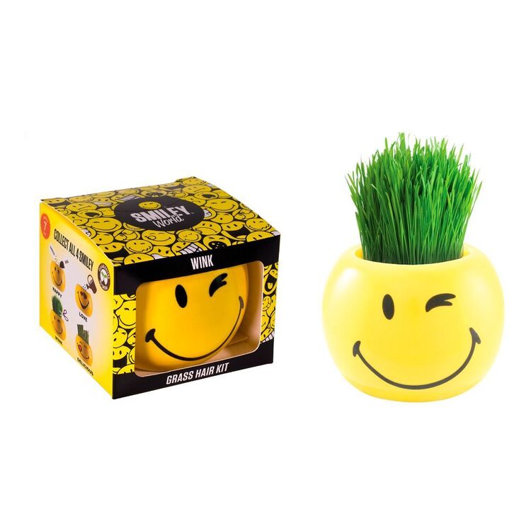 Grass Hair Kit Smiley Faces Wink