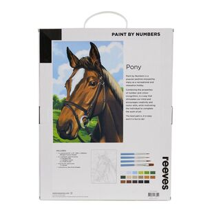 Reeves Paint By Numbers Pony Multicoloured 12 x 16 in
