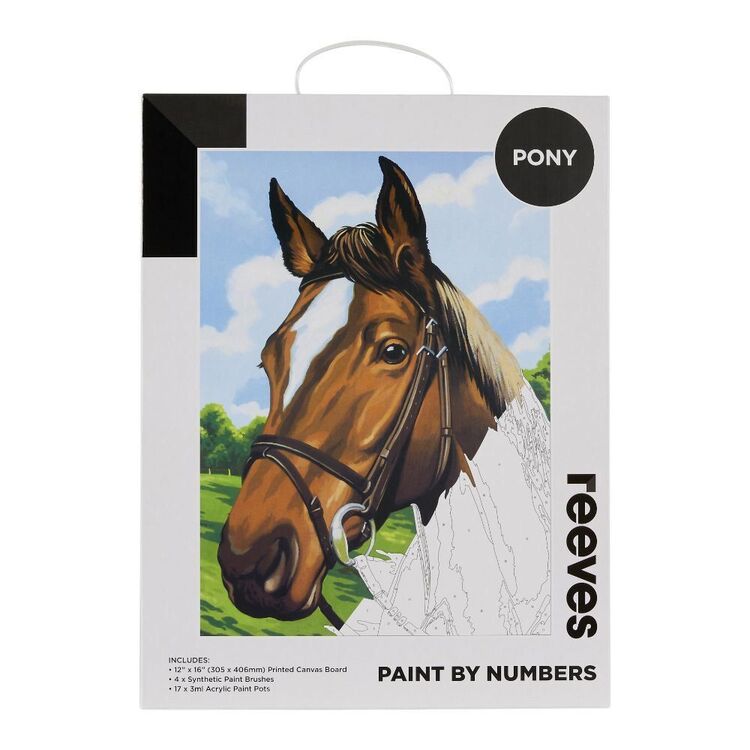 Reeves Paint By Numbers Pony Multicoloured 12 x 16 in