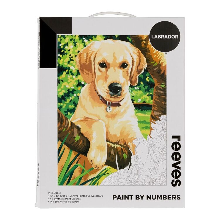 Reeves Paint By Numbers Labrador