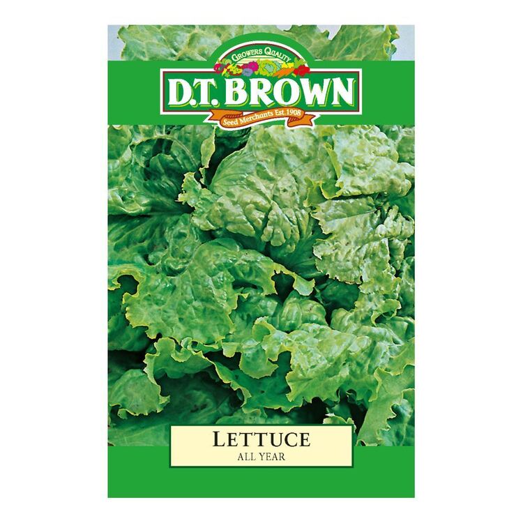 DT Brown Seeds Lettuce All Year
