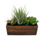 Living Space Mixed Succulent In Crate Green 20.5 x 19.5 cm