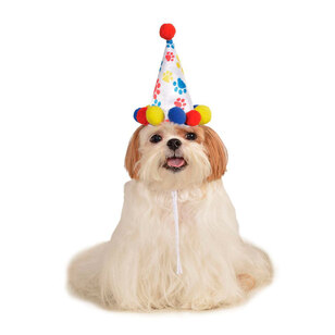 Paw Print Pet Birthday Hat Multicoloured Medium - Large