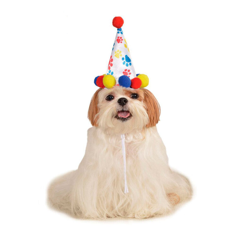 Paw Print Pet Birthday Hat