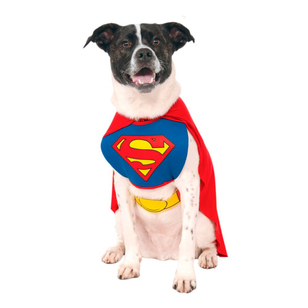 DC Comics Superman Classic Pet Costume Multicoloured