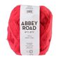 Abbey Road Glory Glory Yarn Coral 200 g