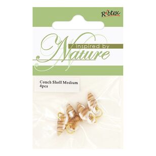 Ribtex Inspired By Nature Conch Shell With Ring 4 Pack Natural