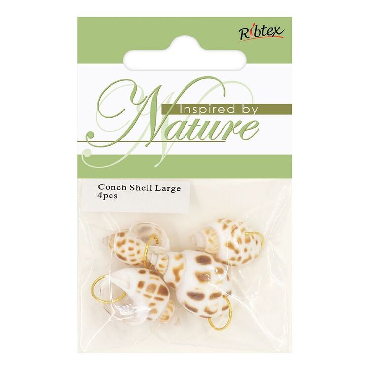 Ribtex Inspired By Nature Conch Shell With Ring 4 Pack