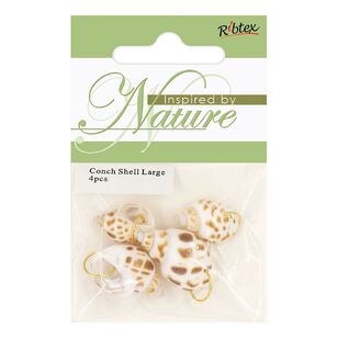 Ribtex Inspired By Nature Conch Shell With Ring 4 Pack Natural