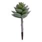 Mini Succulent Pick #1 Green 5.7 x 12 cm