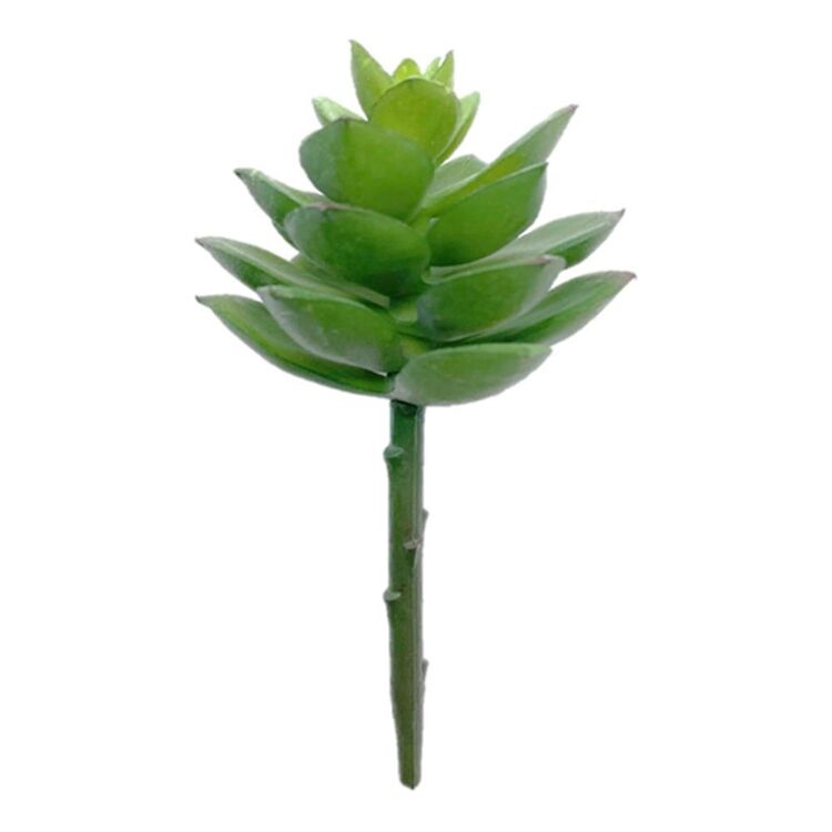 Mini Succulent Pick #5 Green 5.7 x 12 cm