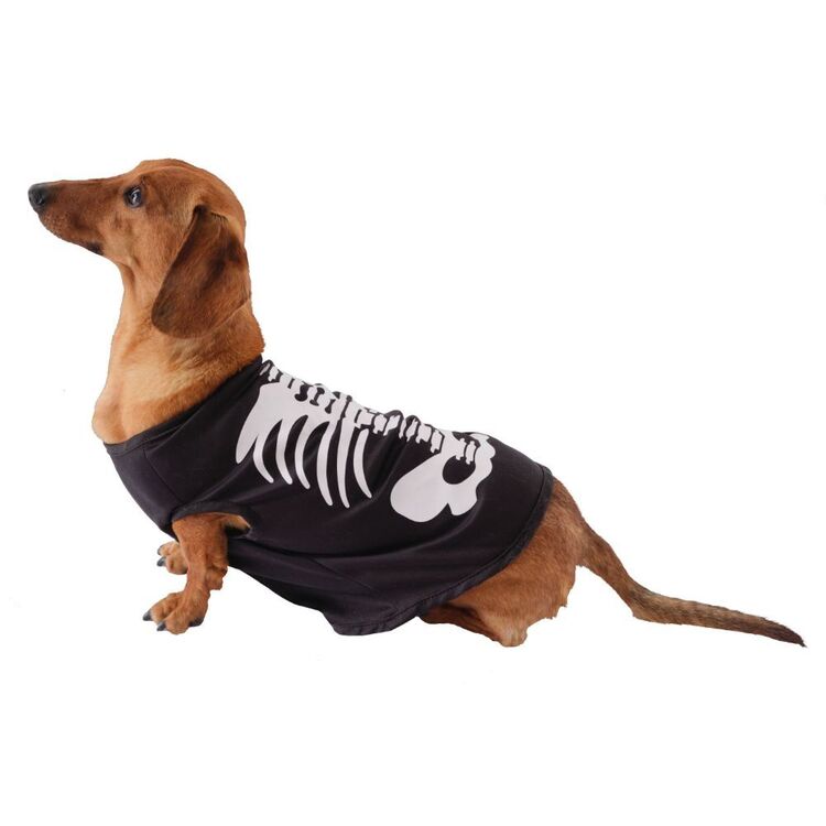 Spooky Hollow Skeleton Pet Costume