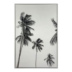 Ombre Home Country Living Mallee Palm Framed Canvas Black & White 40 x 60 cm