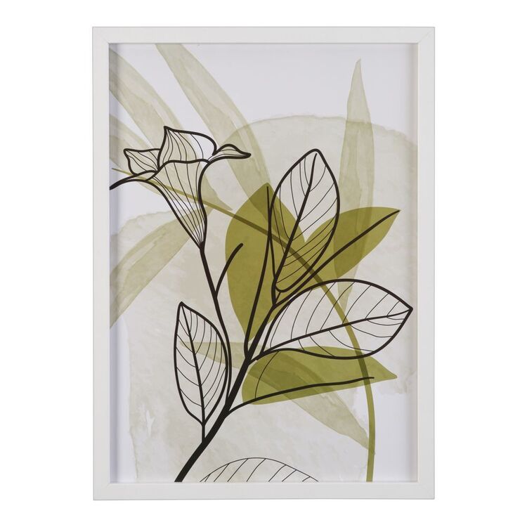 Cooper & Co Watercolour Botanic A3 Framed Print #1