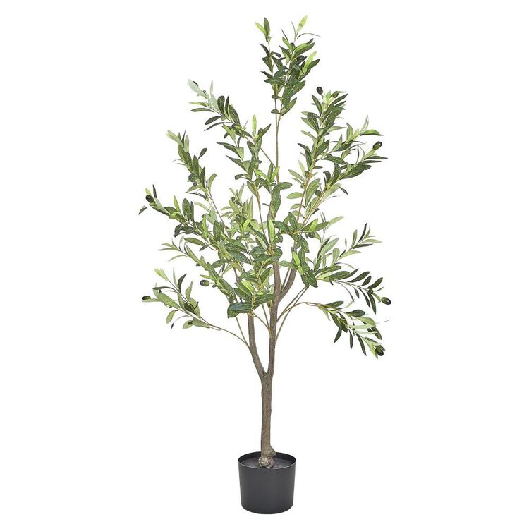 Botanica Artificial Olive Tree