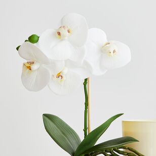 30 cm Real Touch Potted Orchid White 30 cm