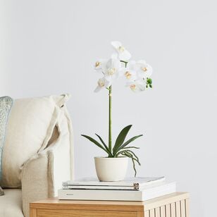 Real Touch 43 cm Potted Orchid White 43 cm