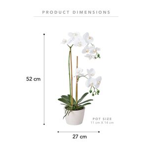 52 cm Real Touch Potted Orchid White 52 cm